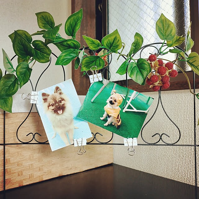 実例写真