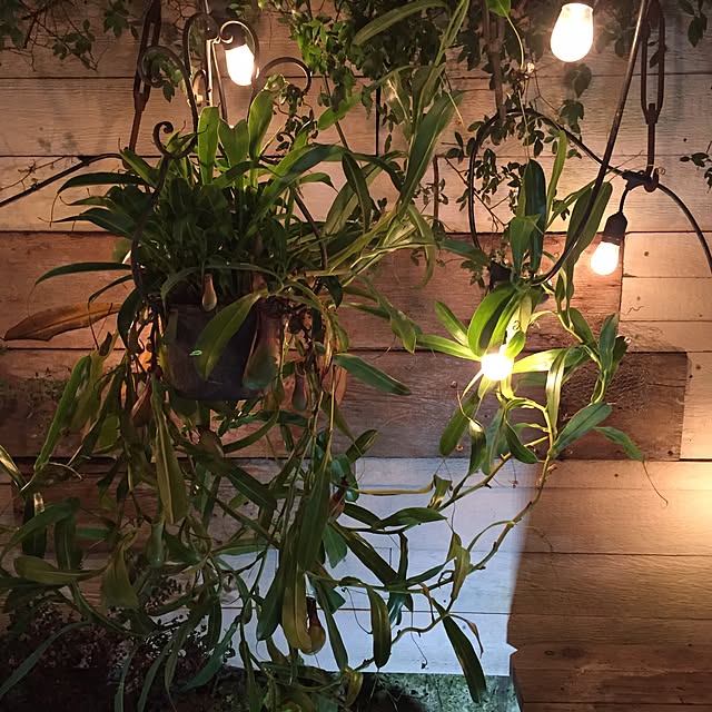 GreenWorksさんの実例写真