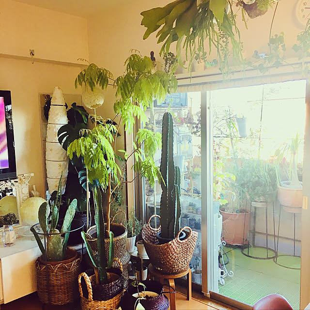 erikoさんの実例写真