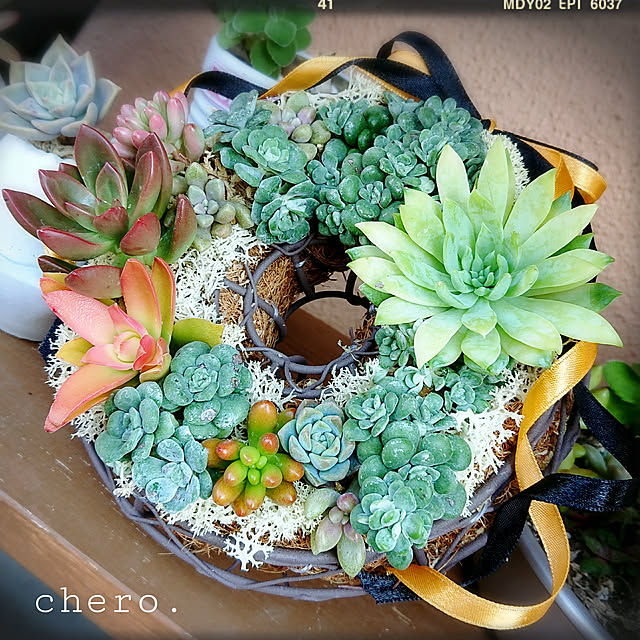 chero.さんの実例写真