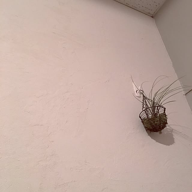 so_ko_516さんの実例写真