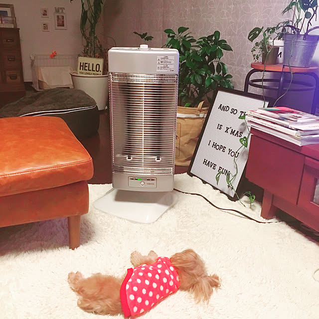 risaさんの実例写真