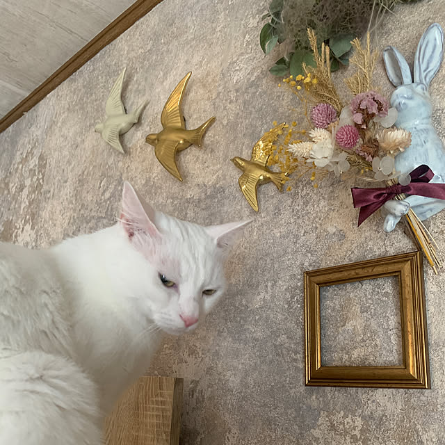 keiさんの部屋