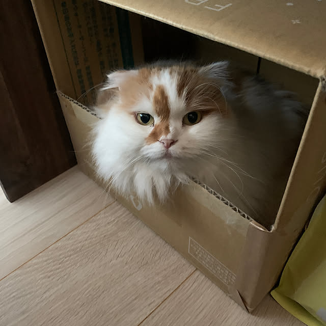 keiさんの部屋