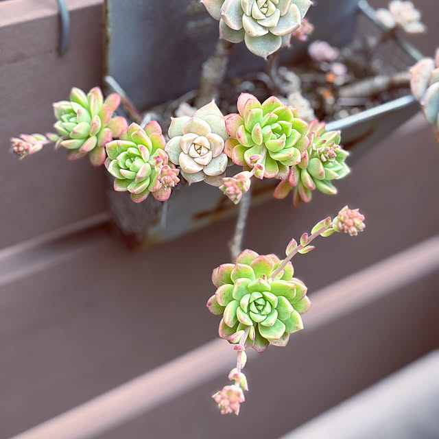 yukkoさんの部屋