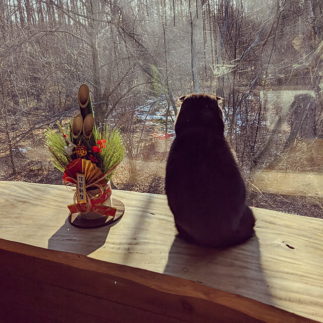 RusticLifeWithCatさんの実例写真