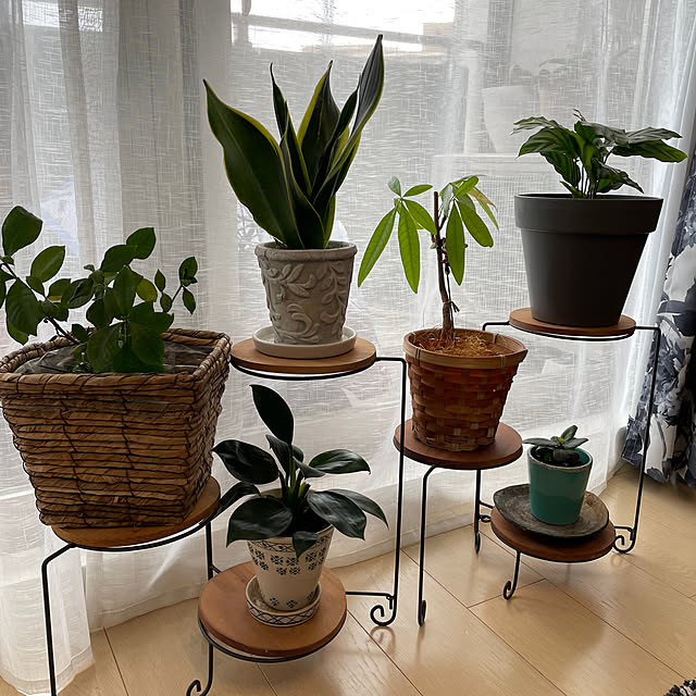 manchanさんの部屋