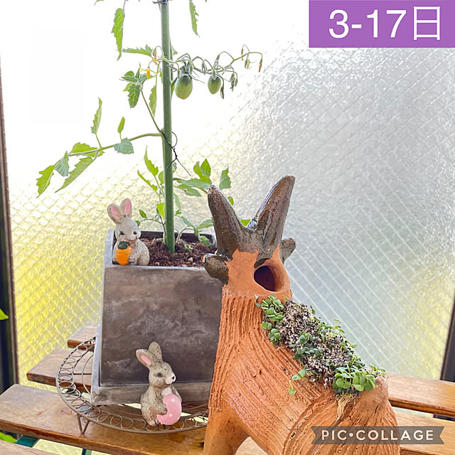 aureaさんの実例写真