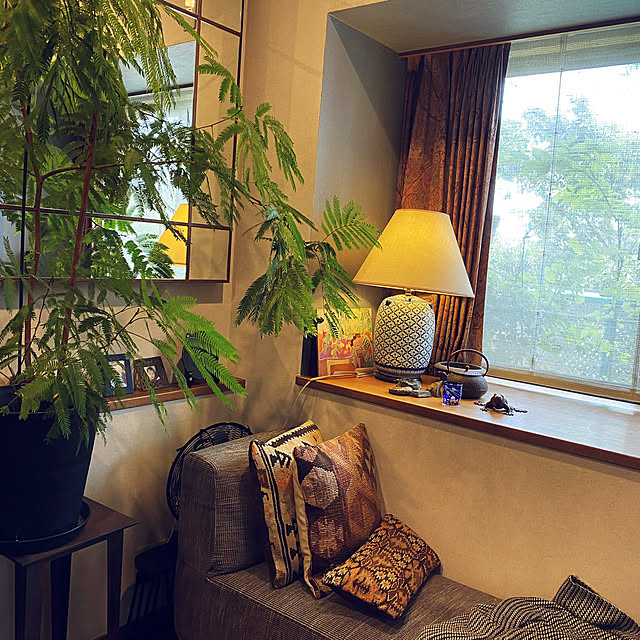amyさんの実例写真
