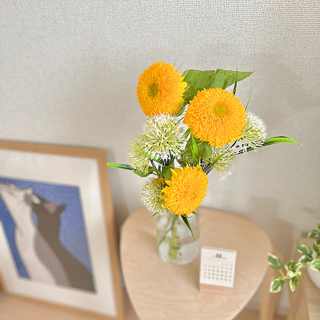 kiyomiさんの部屋