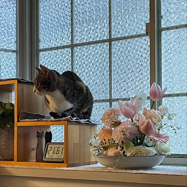 nobikoさんの部屋