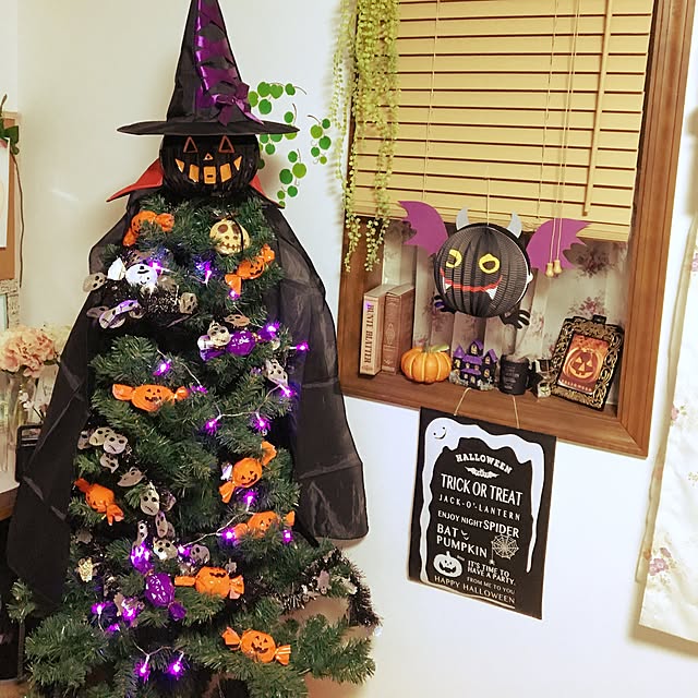 cocoaさんの実例写真