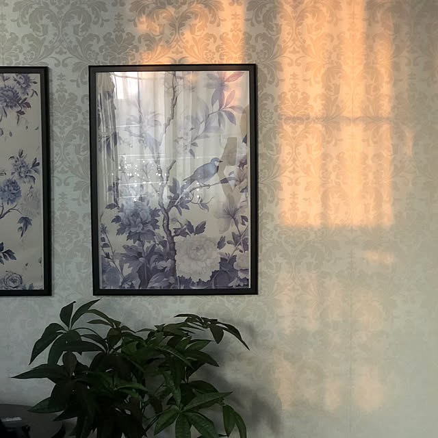 Toruさんの実例写真