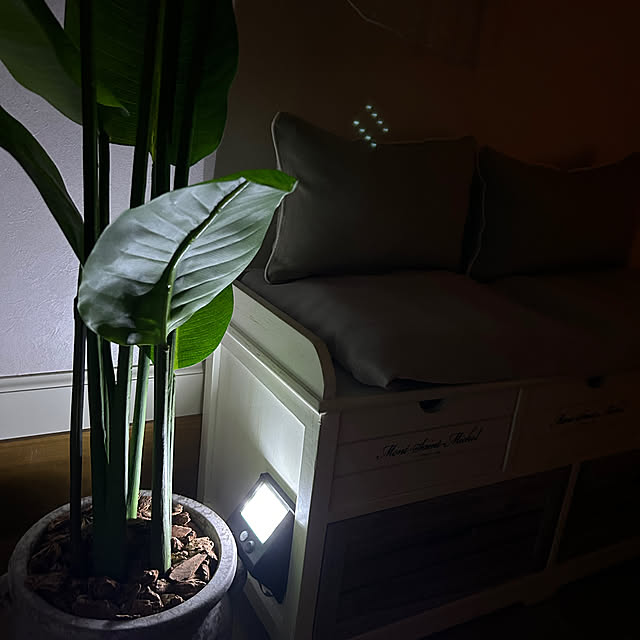 kuraさんの部屋