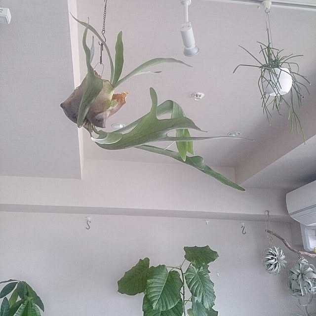 abeさんの実例写真