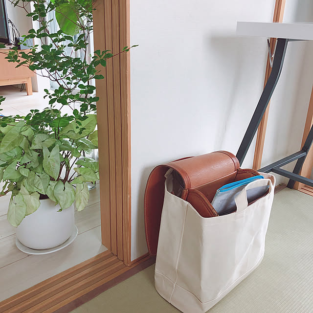 tosanohanayomeさんの実例写真