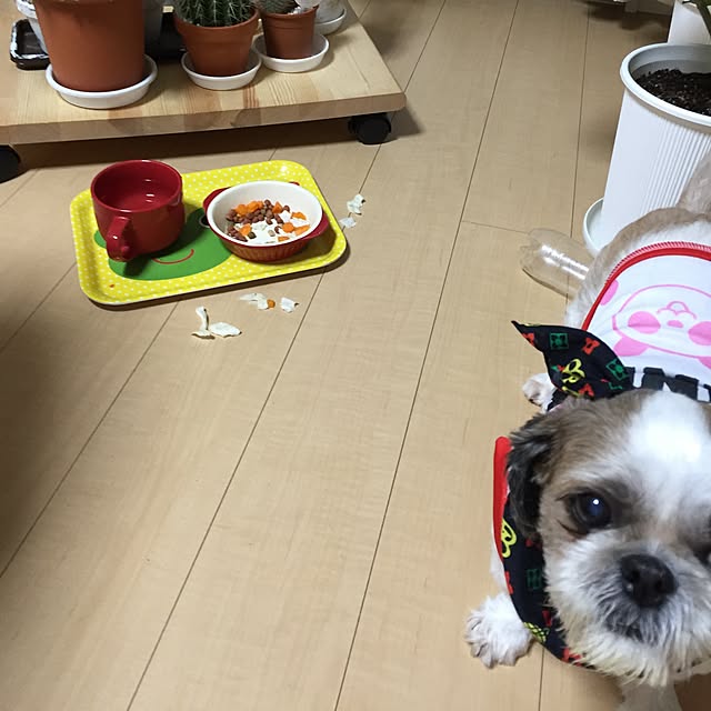 emiさんの実例写真