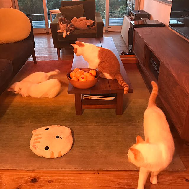 sakurasakuさんの実例写真