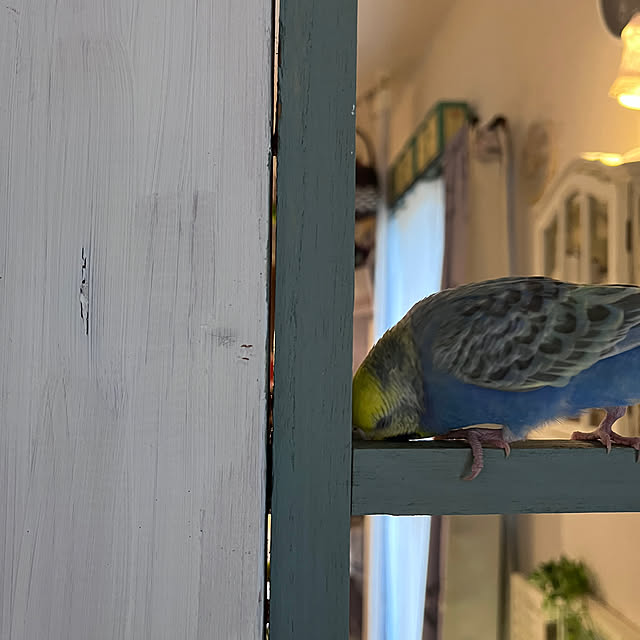 Atsukoさんの部屋
