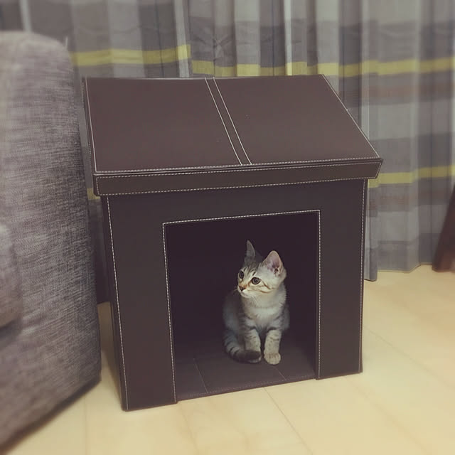 nodokaさんの実例写真