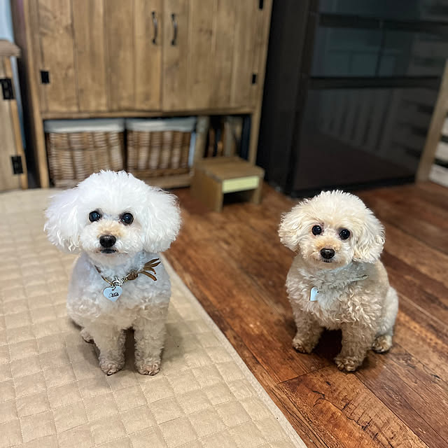 akko1205さんの実例写真