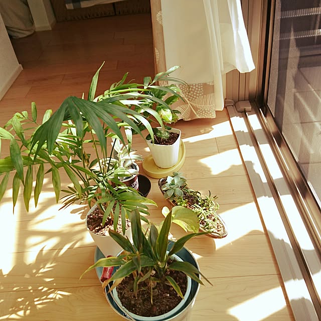 yumemamaさんの実例写真