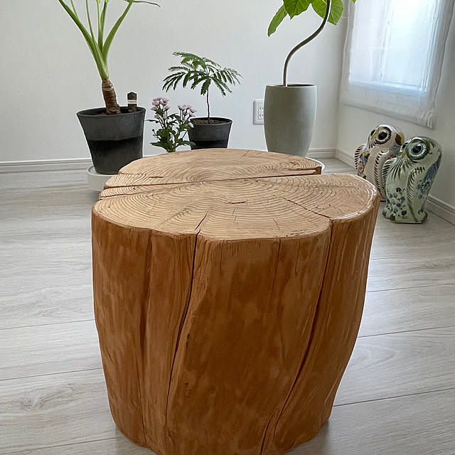 Shonanさんの部屋