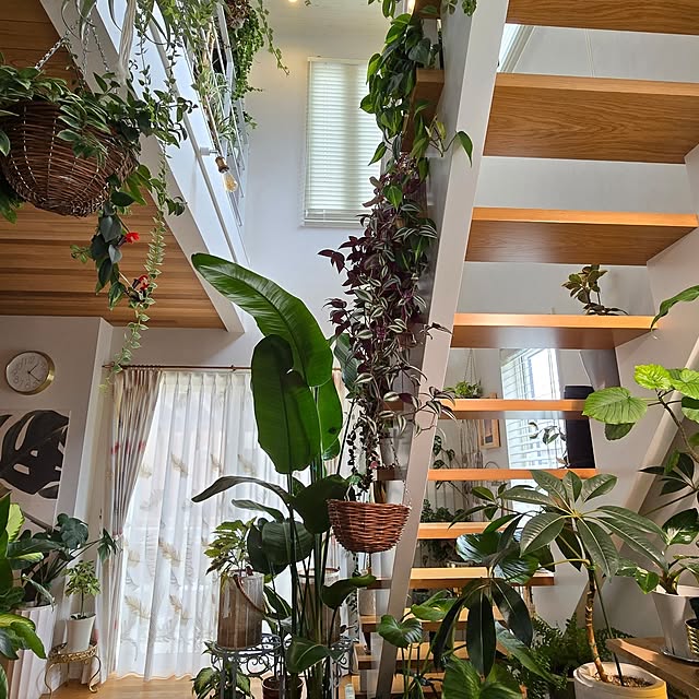 nonbiri_house_さんの部屋