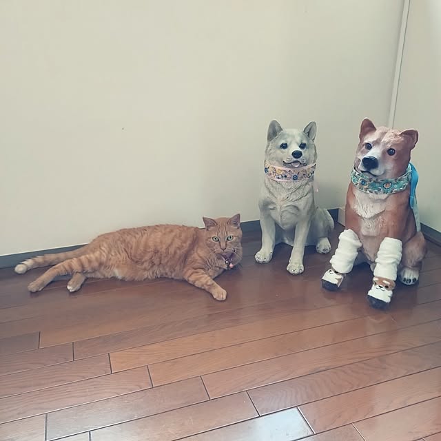 NOAHさんの部屋