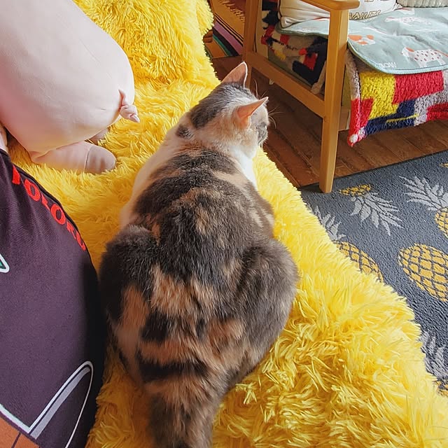 kumutanさんの部屋