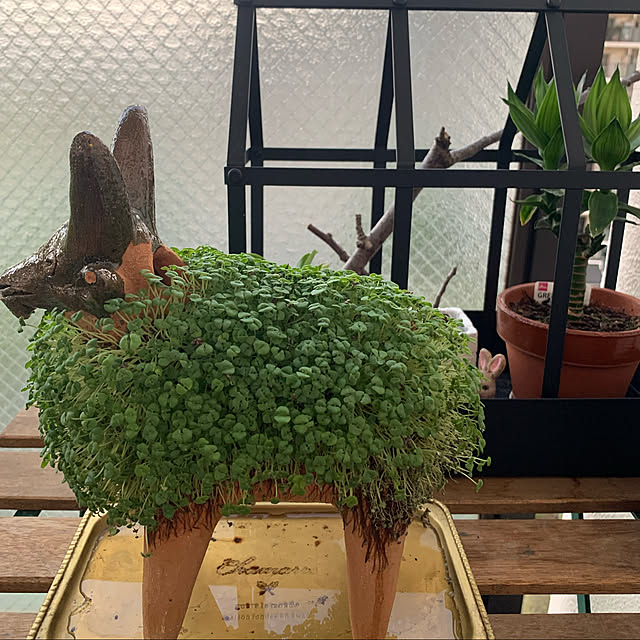 aureaさんの実例写真