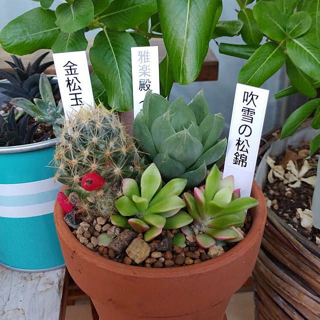 Eriさんの実例写真