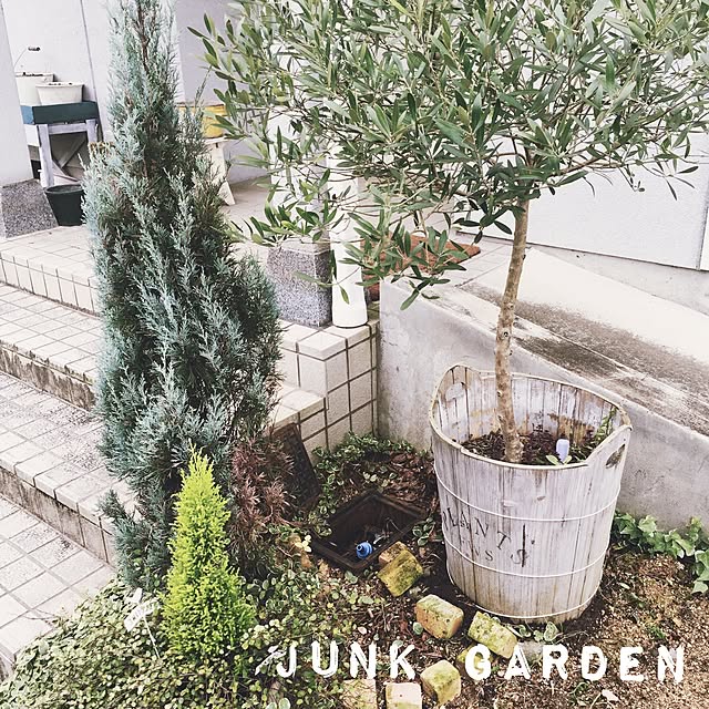 yu_kiさんの実例写真