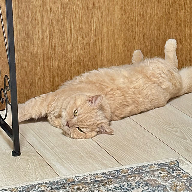 naokoさんの部屋