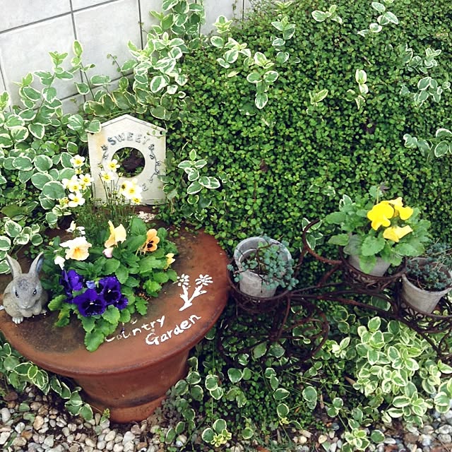 kohakuruさんの実例写真