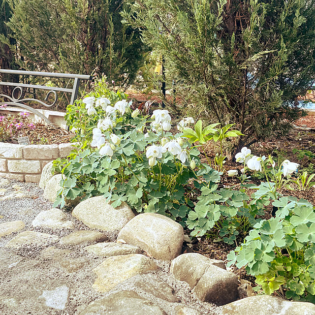 na-naさんの部屋