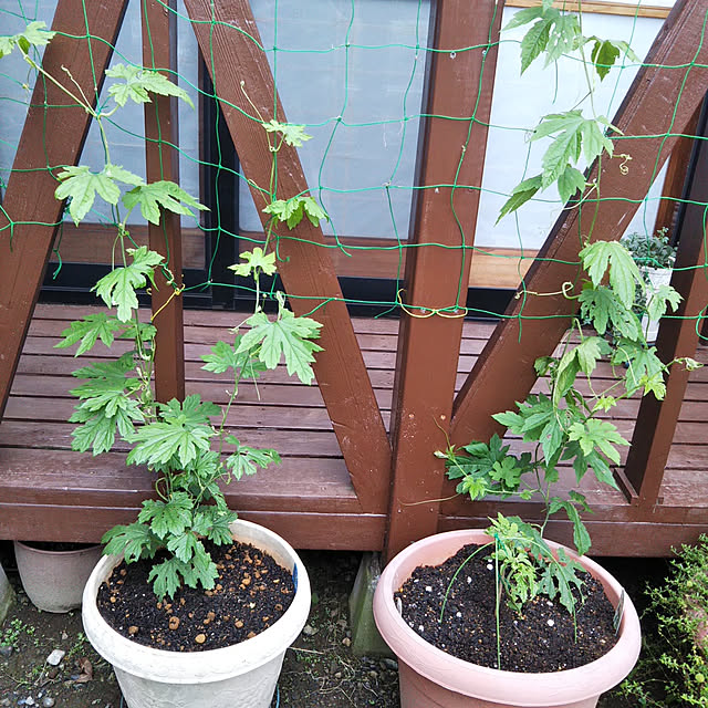 sa.yさんの実例写真