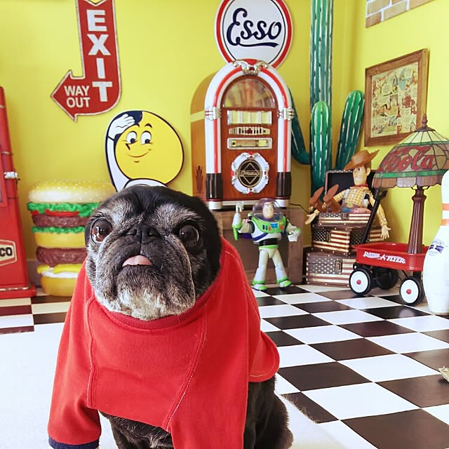 kuupugさんの実例写真