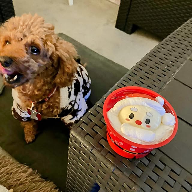 MOMOMAMAさんの部屋