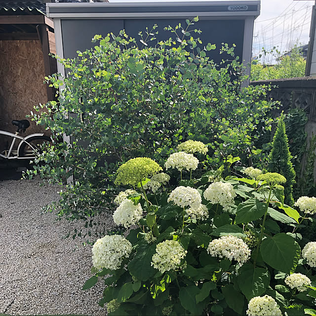 mahさんの実例写真