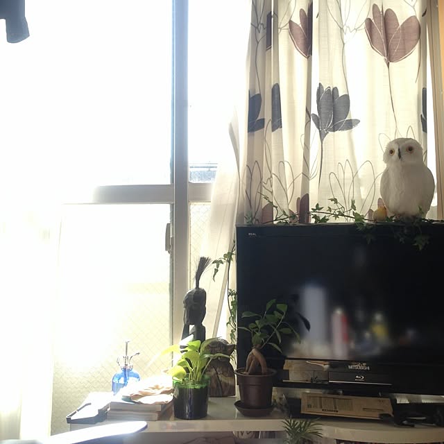 pekoさんの実例写真