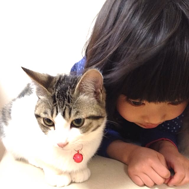 Michikoさんの実例写真