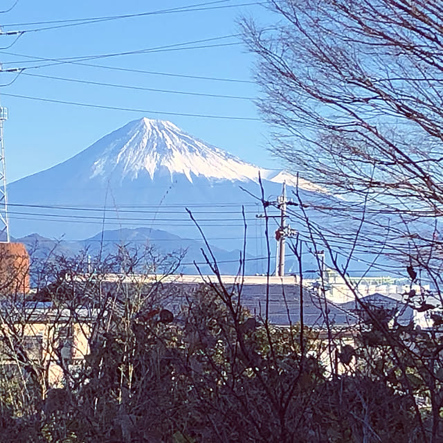 冬景色/裏庭/富士山が見える家/デッキスペース/玄関/入り口のインテリア実例 - 2023-01-01 08:53:35