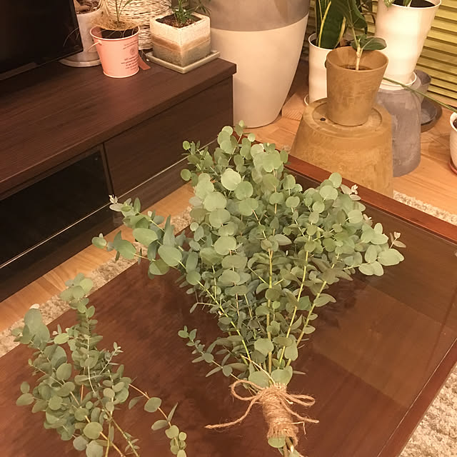ma-shuさんの実例写真
