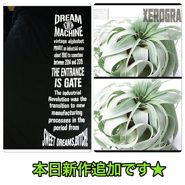 swaro109さんの実例写真
