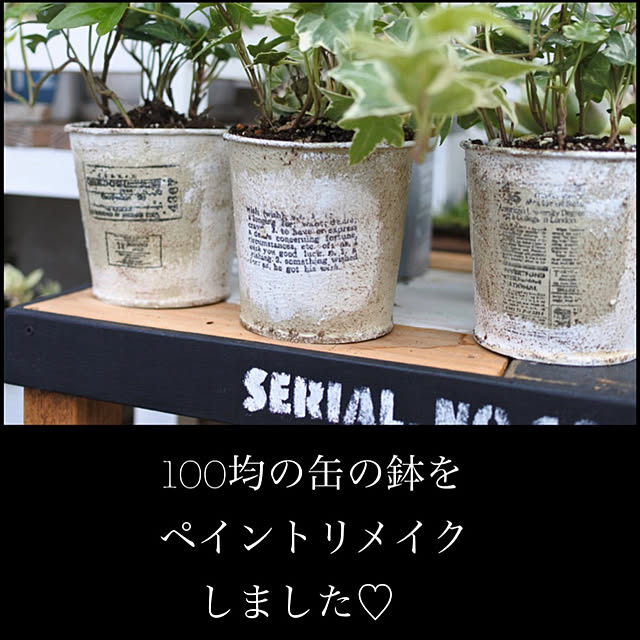 miwaさんの実例写真