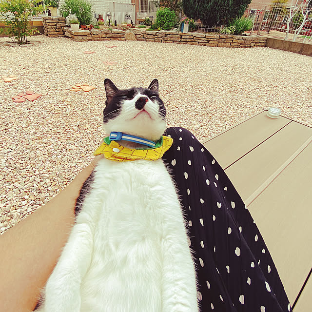 moolさんの部屋