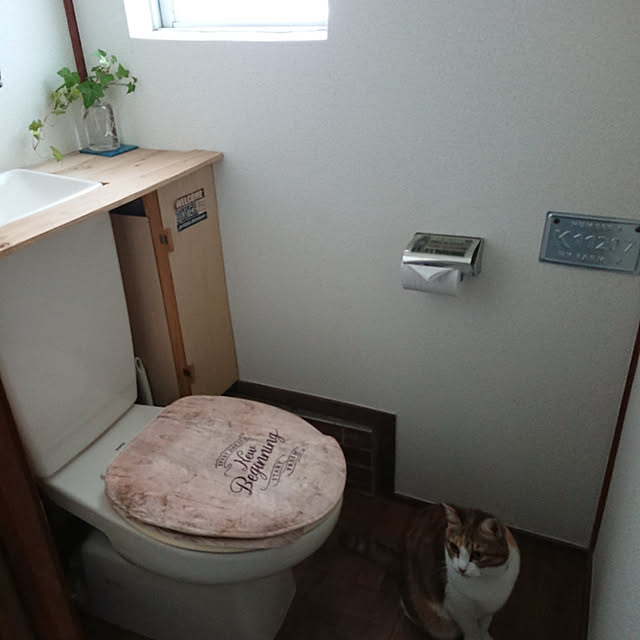 berariさんの実例写真