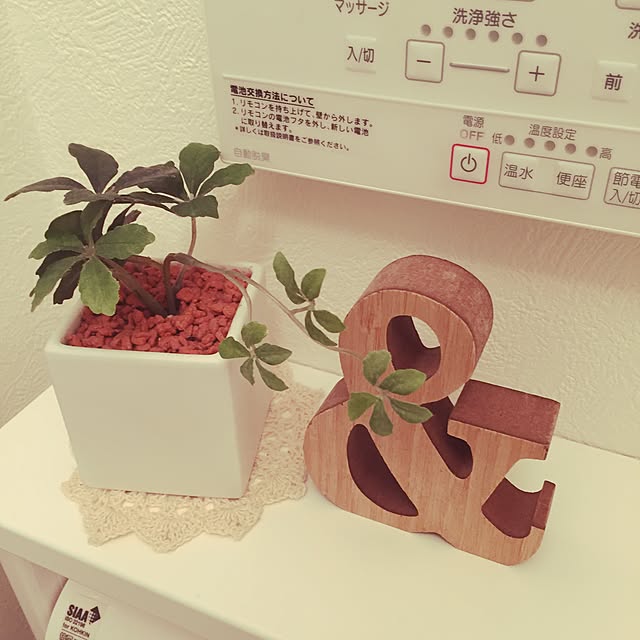 megumiさんの実例写真