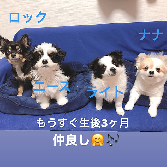 k.yuka29さんの実例写真